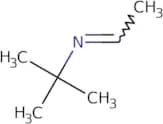 N-tert-Butylacetaldimine