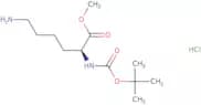 Boc-Lys-OMe HCl