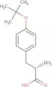 O-tert-Butyl-L-tyrosine