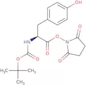 Boc-L-tyrosine N-hydroxysuccinimide ester