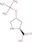 O-tert-Butyl-L-trans-4-hydroxyproline