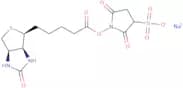 Biotin 3-sulfo-N-hydroxysuccinimide ester sodium salt