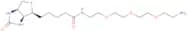 (+)-Biotin-(PEO)4-amine