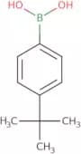 4-tert-Butylphenylboronic acid