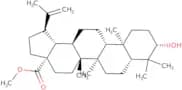 Betulinic acid methyl ester