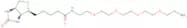 Biotin-PEG4-amine