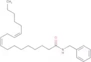 N-Benzyl Linoleamide