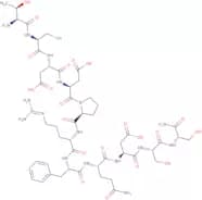 Chorionic Gonadotropin-β (109-119) amide (human)