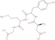 Cholecystokinin Octapeptide (1-4) (desulfated)