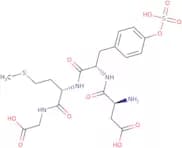 Cholecystokinin Octapeptide (1-4) (sulfated)