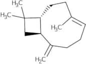 β-Caryophyllene