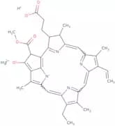 Chlorophyllide A