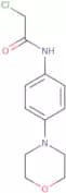2-chloro-N-(4-morpholinophenyl)acetamide