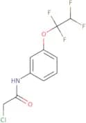 2-Chloro-N-(3-(1,1,2,2-tetrafluoroethoxy)phenyl)ethanamide