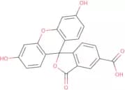 5-Carboxyfluorescein