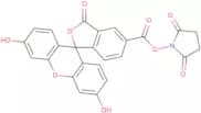 5-Carboxyfluorescein-N-hydroxysuccinimide ester