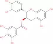 (-)-Catechin gallate