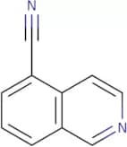 5-Cyanoisoquinoline