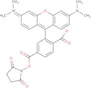 6-Carboxytetramethylrhodamine succinimidyl ester