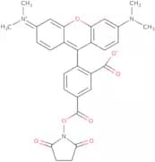 5-Carboxytetramethylrhodamine succinimidyl ester