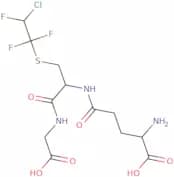 S-(2-Chloro-1,1,2-Trifluoroethyl)Glutathione