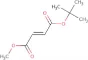 t-Butyl methyl fumarate