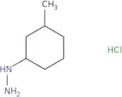(3-Methylcyclohexyl)hydrazine hydrochloride