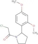 2-Chloro-1-[2-(2,4-dimethoxyphenyl)pyrrolidin-1-yl]ethan-1-one