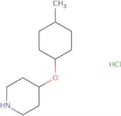 4-[(4-Methylcyclohexyl)oxy]piperidine hydrochloride