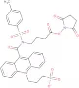 9-[[[4-[(2,5-Dioxo-1-pyrrolidinyl) oxy]-4-oxobutyl][(4-methylphenyl) sulfonyl]amino]carbonyl]-10- …
