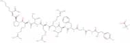 Dynorphin A (1-11) amide trifluoroacetate salt