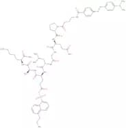 DABCYL-γ-Abu-Pro-Gln-Gly-Leu-Glu(EDANS)-Ala-Lys-NH2