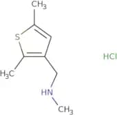[(2,5-Dimethyl-3-thienyl)methyl]methylamine hydrochloride