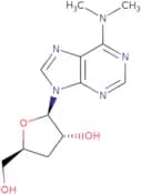 3’-Deoxy-N6,N6-dimethyladenosine
