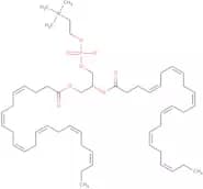 1,2-Docosahexanoyl-SN-glycero-3-phosphocholine, in Chloroform, 10mg/ml