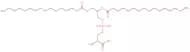 1,2-Dipalmitoyl-sn-glycero-3-phosphoserine