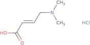 trans 4-Dimethylaminocrotonic acid HCl