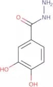 3,4-Dihydroxybenzhydrazide