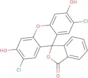 2,7-Dichlorofluorescein