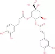 4,5-Dicaffeoylquinic acid