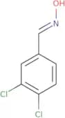 3,4-Dichlorobenzaldehyde oxime