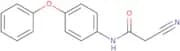 2-Cyano-N-(4-phenoxyphenyl)acetamide