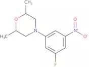 4-(3-Fluoro-5-nitrophenyl)-2,6-dimethylmorpholine