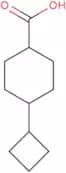 Rel-(1R,4R)-4-cyclobutylcyclohexane-1-carboxylic acid