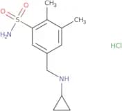 5-[(Cyclopropylamino)methyl]-2,3-dimethylbenzene-1-sulfonamide hydrochloride