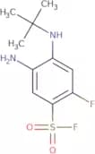 5-Amino-4-(tert-butylamino)-2-fluorobenzene-1-sulfonyl fluoride