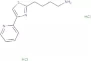 4-[4-(Pyridin-2-yl)-1,3-thiazol-2-yl]butan-1-amine dihydrochloride