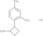 2-(2,4-Dimethylphenyl)cyclobutan-1-amine hydrochloride