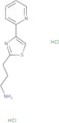 3-[4-(Pyridin-2-yl)-1,3-thiazol-2-yl]propan-1-amine dihydrochloride