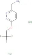 [6-(2,2,2-Trifluoroethoxy)pyridazin-3-yl]methanamine dihydrochloride